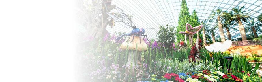 Haver ved bugten - Flower Dome